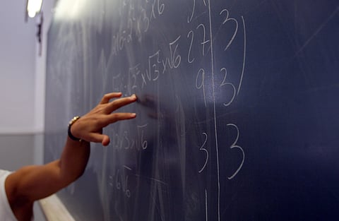Aulas canceladas em várias escolas de Vagos devido a infestação de moscas