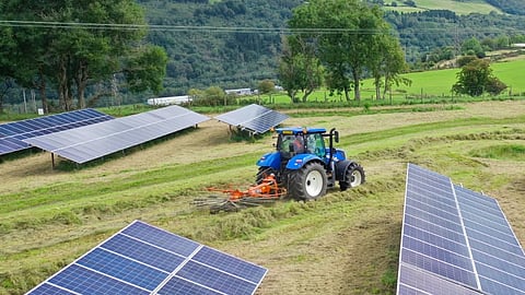 Projeto é da empresa britânica Lightsource BP.