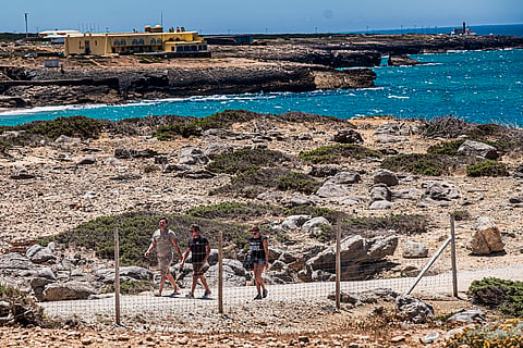 A Nortada, o ventinho desagradável que se levanta nas praias a meio da tarde e leva os veraneantes a abandonar os areais, se não ocorrer priva os oceanos de nutrientes, explica cientista do MARE.