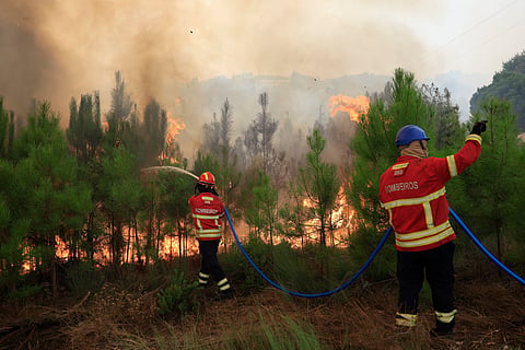 Bombeiros e polícias são, em geral, profissões onde a larga maioria é do género masculino, em que oito em cada dez trabalhadores são homens.