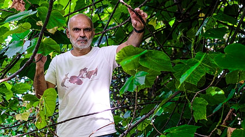 Paulo Caetano