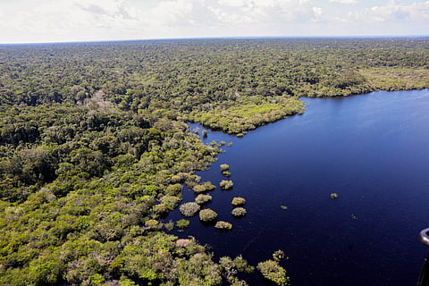Conclusão é de análise feita pelo Observatório do Clima.