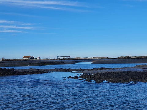 Ilha privada na ria de Aveiro volta a leilão por 690 mil euros, menos 60 mil que antes