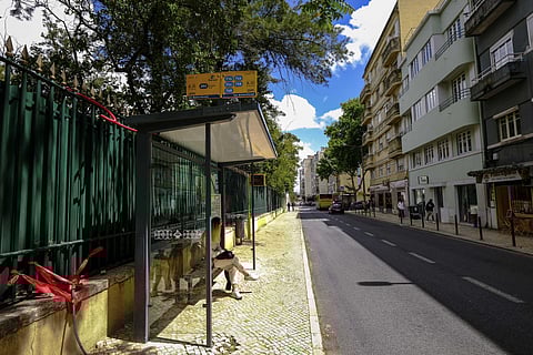 Câmara Municipal de Lisboa tem de assegurar luz nas paragens de autocarro até outubro