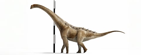 Estudo liderado por paleontólogo português identifica nova espécie de dinossauro