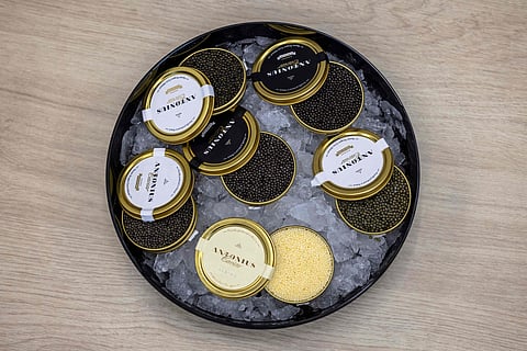 Descida da taxa do IVA das ovas de peixe deixa de fora preparados como caviar
