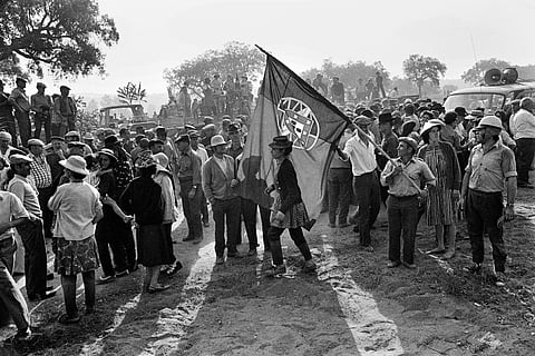 Nas paredes do Panteão Nacional, em Lisboa, há fotografias que documentam as tarefas quotidianas da cooperativa agrícola - 15 meses depois da revolução do 25 de Abril.