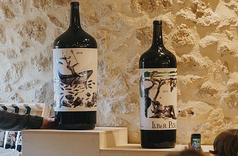 O vinho Liber Pater, “uma relíquia” produzida com variedades nativas da região de Bordéus em pé-franco.