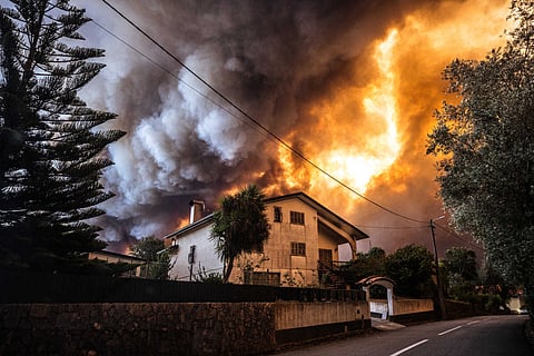 Incêndio em Albergaria-a-Velha.