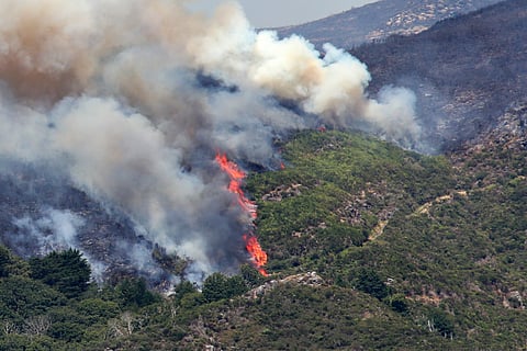 MAI envia equipa para ajudar a combater fogos na Madeira