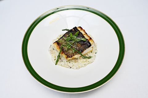Receita de Risotto de amêijoa e robalo