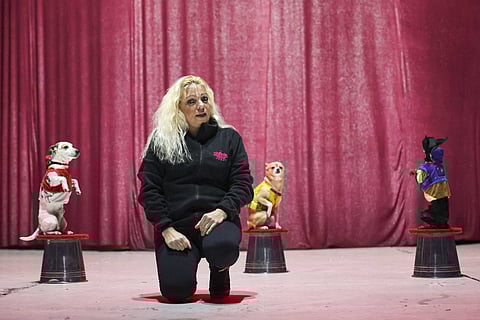 Mirene Cardinali vê o circo encher-se nesta altura com festas de empresas.