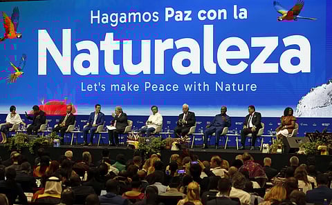 A conferência das Nações Unidas sobre biodiversidade decorreu em Cali, na Colômbia.