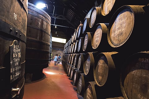 Produtores de vinho pedem ao governo mais 30 milhões para acabar com excedentes