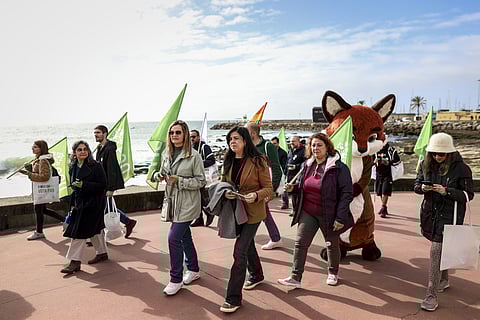 Porta-voz do PAN, Inês Sousa Real, numa ação de campanha