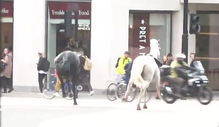 Cavalos à solta em Londres causam quatro feridos