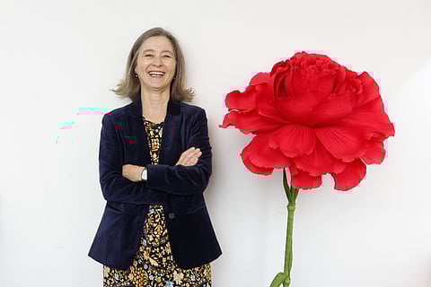 LUSA/ANTÓNIO PEDRO SANTOS