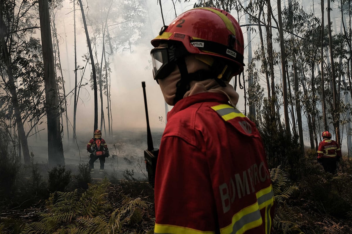 Fogo em Vouzela mobiliza oito meios aéreos. Não há aldeias em perigo