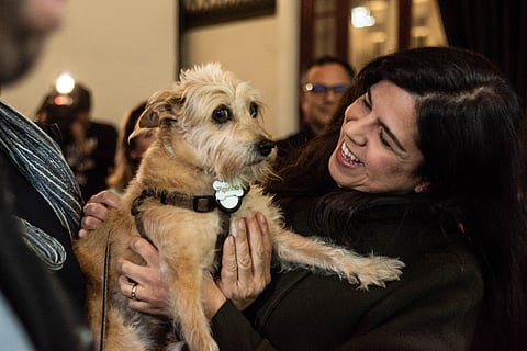 PAN quer proibir venda de animais no Natal para combater abandono