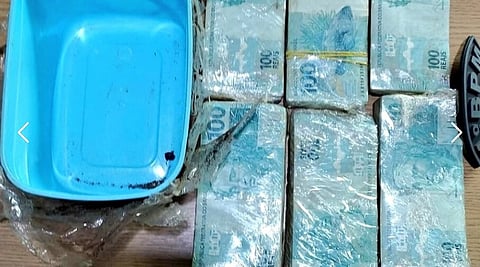 Brasileiro encontrou mais de 11 mil euros no jardim da sua casa e devolveu à polícia