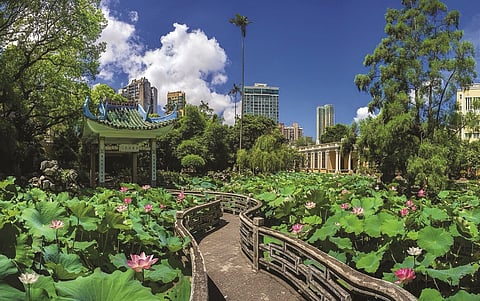 O Jardim de Lou Lim Ioc é um dos clássicos chineses mais representativos de Macau. O edifício amarelo ao estilo português e o Pavilhão da Primavera integram-se perfeitamente no mesmo jardim chinês.