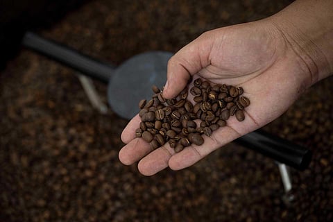Preços do café sobem 8% em novembro e atingem os níveis mais elevados desde 1977