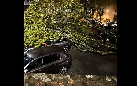 Mais de 1.300 ocorrências provocadas pelo vento forte