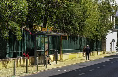 A autarquia de Lisboa quer trocar 1760 paragens e criar mais 240 em toda a cidade.