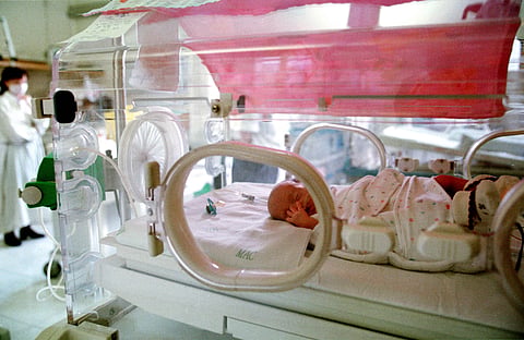 Imunização pretende proteger bebés mais frágeis no primeiro ano de vida.