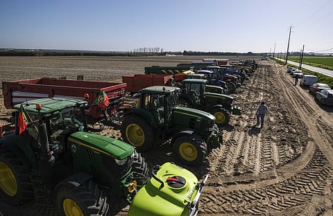 Agricultores. Comissário da Economia afasta cenário de “perturbação na cadeia de abastecimento”