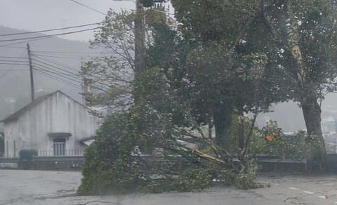 Há escolas fechadas no Porto, Montalegre e Vila Pouca de Aguiar devido ao mau tempo