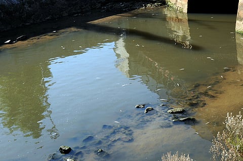 Banhos e pesca proibidos no Douro devido a descarga poluente após incêndio na Auto Sueco