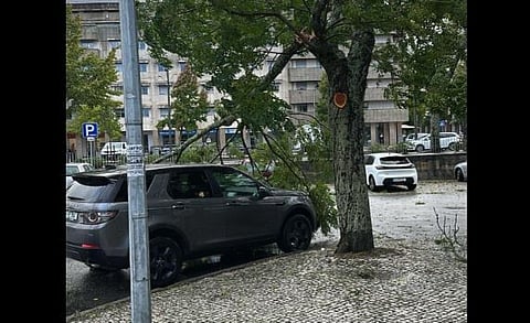 Mau tempo. Queda de árvore provoca um ferido em Vouzela