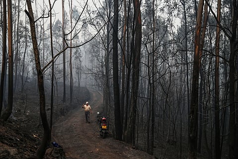 Incêndios e possível origem criminosa. Equipa especializada vai contar com MP, PJ e forças de segurança
