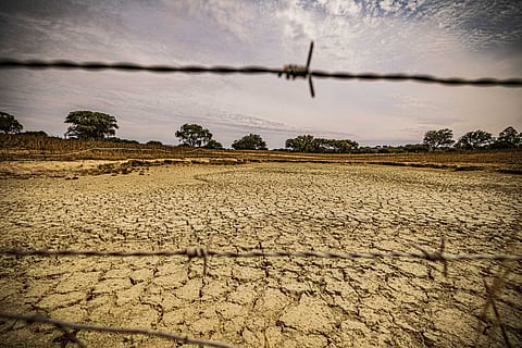 Quase metade de Portugal continental estava em seca meteorológica no fim de maio