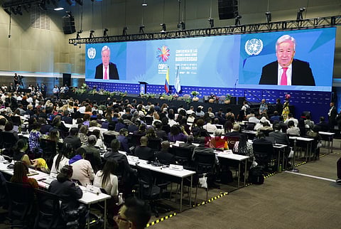 COP16. Guterres apela a "investimentos significativos" para salvar a Natureza