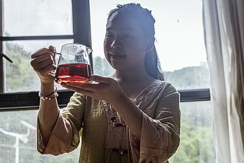 Pelas origens do tradicional (e benéfico) chá Liu Bao
