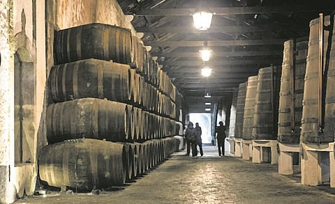 Bruxelas apoia queima do vinho em 15 milhões de euros. 