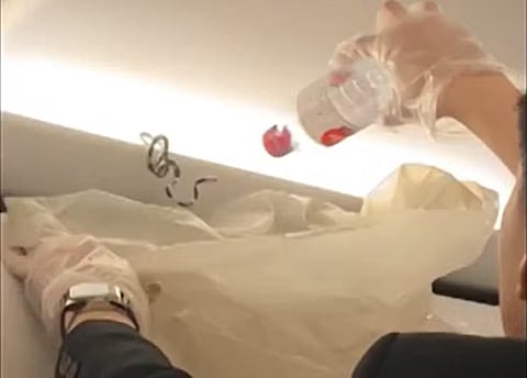 Cobra causa o pânico entre os passageiros de um avião na Tailândia