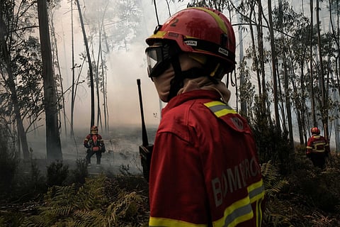 Dispositivo de combate a incêndios entra hoje na capacidade máxima