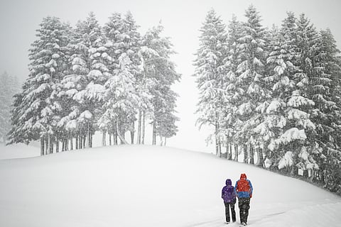 Glaciares dos Alpes perderam 10% do volume nos últimos dois anos