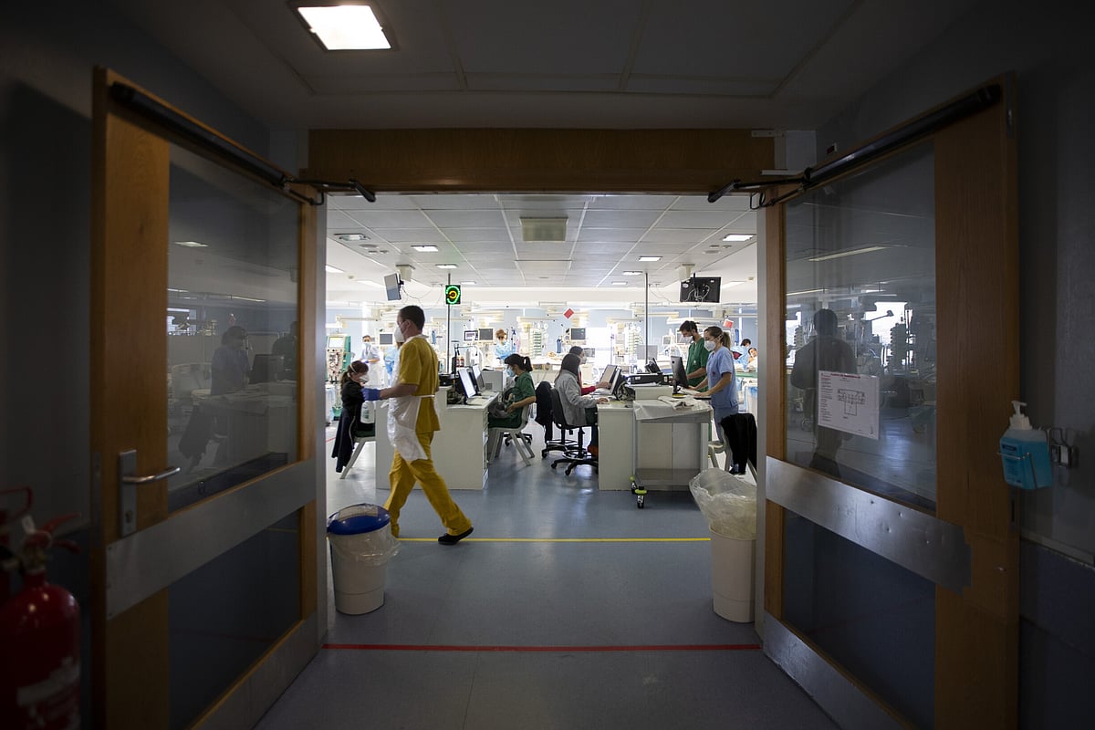 INSA confirms presence of the super-fungus Candida auris in Portuguese hospitals since 2022