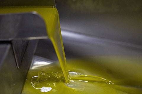 ASAE apreende 2.510 litros de óleo alimentar vendido como azeite no Alentejo e Algarve