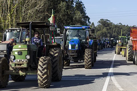 Esperados 300 agricultores e 200 máquinas em marcha lenta no Algarve