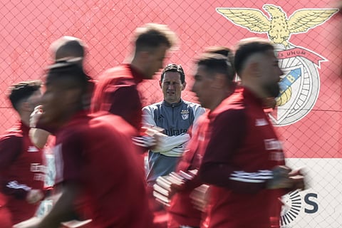 Roger Schmidt, treinador do Benfica