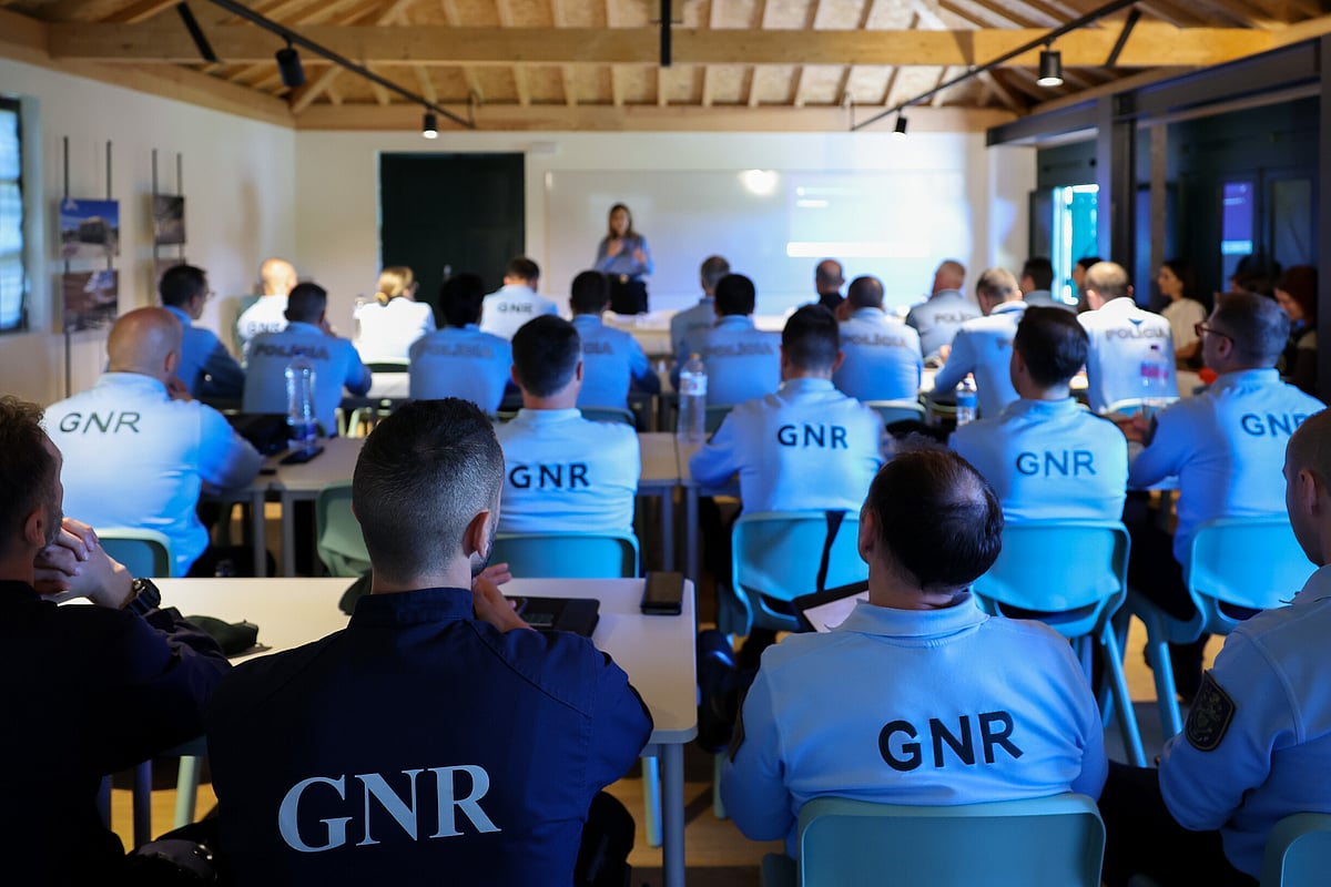 Immigrant exploitation. Without transcribed wiretaps, the GNR and PSP have been released and can continue in their roles