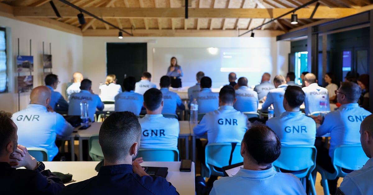 Immigrant exploitation. Without transcribed wiretaps, the GNR and PSP have been released and can continue in their roles