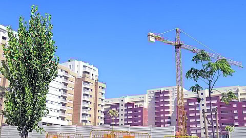  Os setores mais representados na rede portuguesa são o imobiliário e a construção.