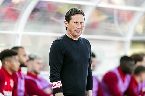 Roger Schmidt, treinador do Benfica