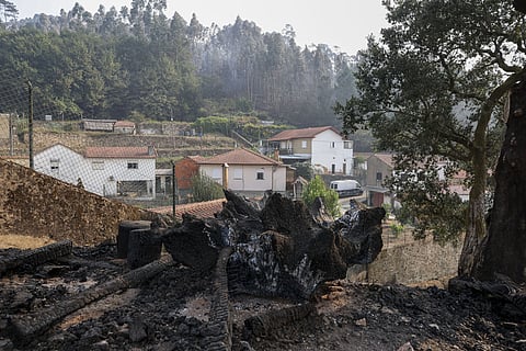 Proteção Civil manifesta "profundo desagrado" por declarações em audição parlamentar